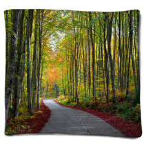 Road In The Forest In Autumn Fall Colors Blankets 62919606