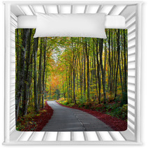 Road In The Forest In Autumn Fall Colors Nursery Decor 62919606