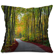 Road In The Forest In Autumn Fall Colors Pillows 62919606