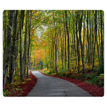 Road In The Forest In Autumn Fall Colors Rugs 62919606