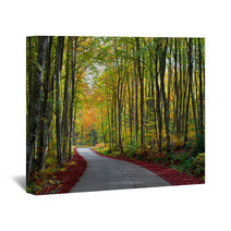 Road In The Forest In Autumn Fall Colors Wall Art 62919606