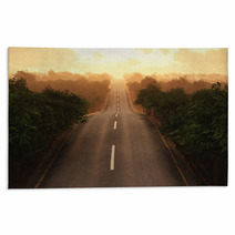 Road Through The Forest Rugs 67533611