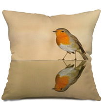 Robin Pillows 61751177