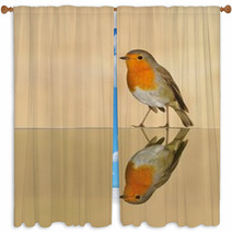 Robin Window Curtains 61751177