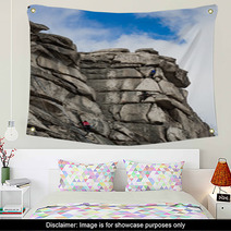 Rock Peak Wall Art 67529940