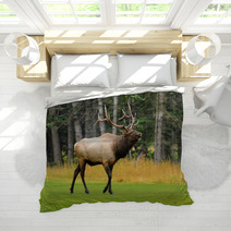 Rocky Mountain Elk Bedding 51888884
