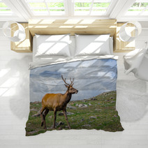 Rocky Mountain Elk Bedding 55874178