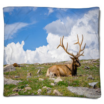 Rocky Mountain Elk Blankets 55873636