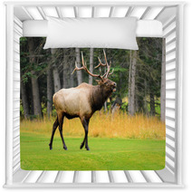 Rocky Mountain Elk Nursery Decor 51888884