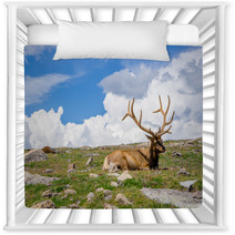 Rocky Mountain Elk Nursery Decor 55873636