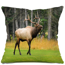Rocky Mountain Elk Pillows 51888884