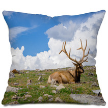 Rocky Mountain Elk Pillows 55873636