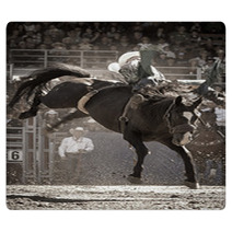 Rodeo Rugs 35293342