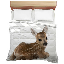 Roe Deer Fawn - Capreolus Capreolus (15 Days Old) Bedding 15587065