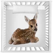 Roe Deer Fawn - Capreolus Capreolus (15 Days Old) Nursery Decor 15587065