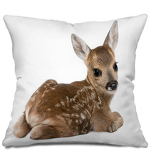 Roe Deer Fawn - Capreolus Capreolus (15 Days Old) Pillows 15587065