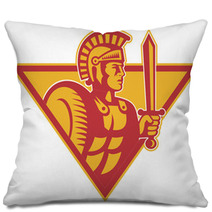 Roman Centurion Soldier With Sword And Shield Pillows 42304279