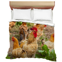 Rooster And Hen In The Village, Rooster Live Yard Poultry Bedding 81612188