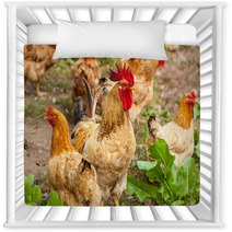 Rooster And Hen In The Village, Rooster Live Yard Poultry Nursery Decor 81612188