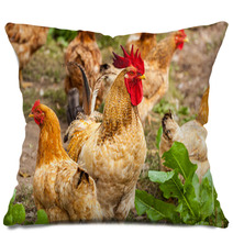 Rooster And Hen In The Village, Rooster Live Yard Poultry Pillows 81612188