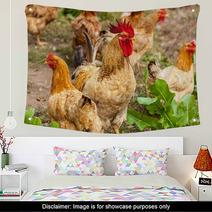 Rooster And Hen In The Village, Rooster Live Yard Poultry Wall Art 81612188