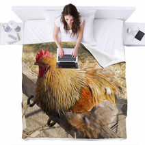 Rooster Blankets 100366919