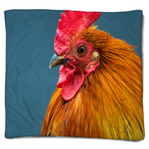 Rooster Blankets 79177141