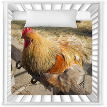 Rooster Nursery Decor 100366919
