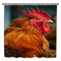 Rooster On Traditional Free Range Poultry Farm Bath Decor 55410247