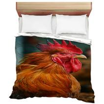 Rooster On Traditional Free Range Poultry Farm Bedding 55410247