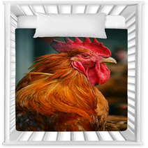 Rooster On Traditional Free Range Poultry Farm Nursery Decor 55410247