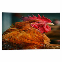 Rooster On Traditional Free Range Poultry Farm Rugs 55410247