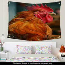 Rooster On Traditional Free Range Poultry Farm Wall Art 55410247