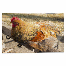 Rooster Rugs 100366919