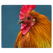 Rooster Rugs 79177141