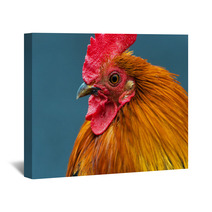 Rooster Wall Art 79177141
