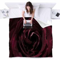 Rose, Dark Red, Macro Blankets 65306318