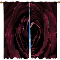 Rose, Dark Red, Macro Window Curtains 65306318