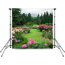 Rose Garden Backdrops 54839164