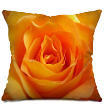 Rose Pillows 456280