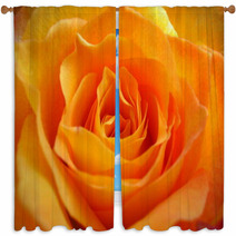 Rose Window Curtains 456280
