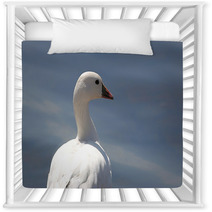 Ross's Goose In Northern California Nursery Decor 4873959