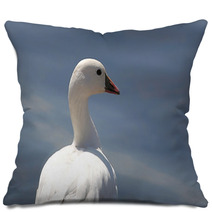 Ross's Goose In Northern California Pillows 4873959