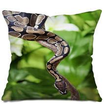 Royal Python On A Branch Pillows 49828951