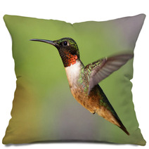 Ruby throated Hummingbird archilochus Colubris Pillows 42355219
