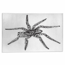 Spider Rugs 39065839