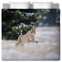 Running Eurasian Lynx Cub On Snowy Ground In Cold Winter Bedding 87857134