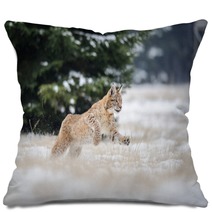 Running Eurasian Lynx Cub On Snowy Ground In Cold Winter Pillows 87857134