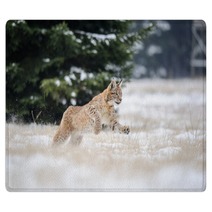 Running Eurasian Lynx Cub On Snowy Ground In Cold Winter Rugs 87857134