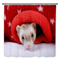 Sable Ferret Peeking Out Of Red Star Toy Bath Decor 90427518
